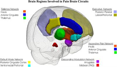 Toward Composite Pain Biomarkers of Neuropathic Pain—Focus on Peripheral Neuropathic Pain